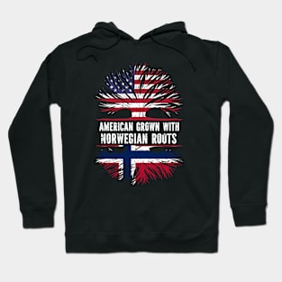 American Grown with Norwegian Roots USA Flag Hoodie